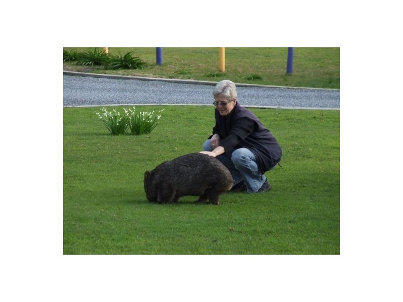 86 Paranaple Rd, Kelso TAS 7270