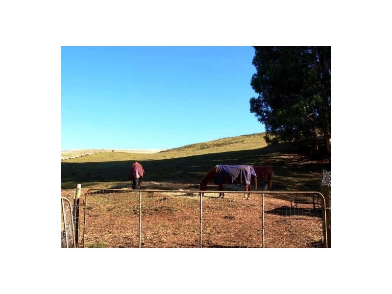 360 Thompsons Road, Forth TAS 7310