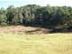 360 Thompsons Road, Forth TAS 7310