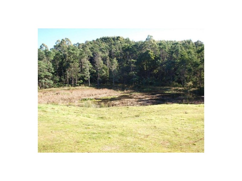 360 Thompsons Road, Forth TAS 7310
