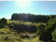 360 Thompsons Road, Forth TAS 7310