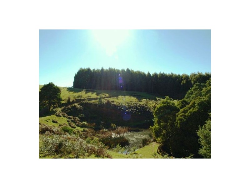 360 Thompsons Road, Forth TAS 7310