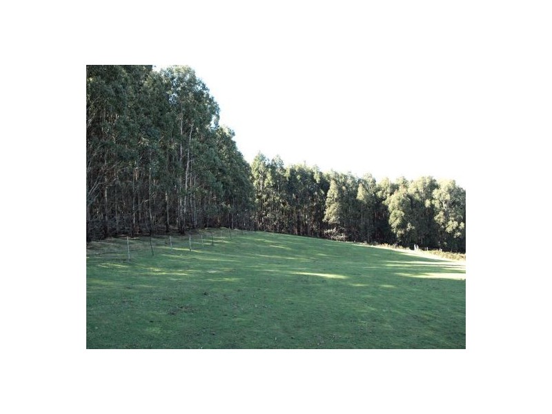 360 Thompsons Road, Forth TAS 7310