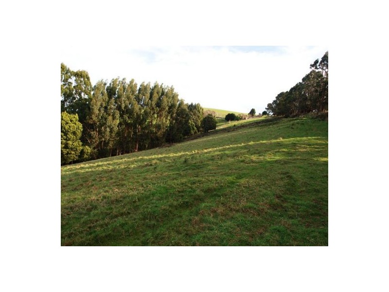 30 Walker Street, Forth TAS 7310