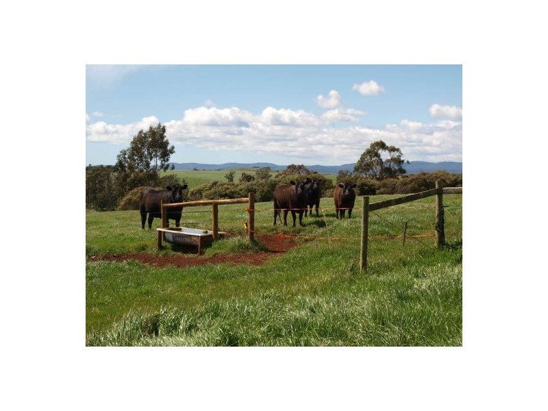Latrobe TAS 7307