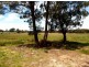 91 COAL HILL ROAD, Latrobe TAS 7307
