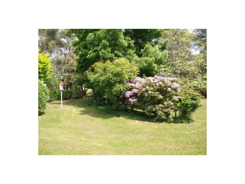 91 COAL HILL ROAD, Latrobe TAS 7307