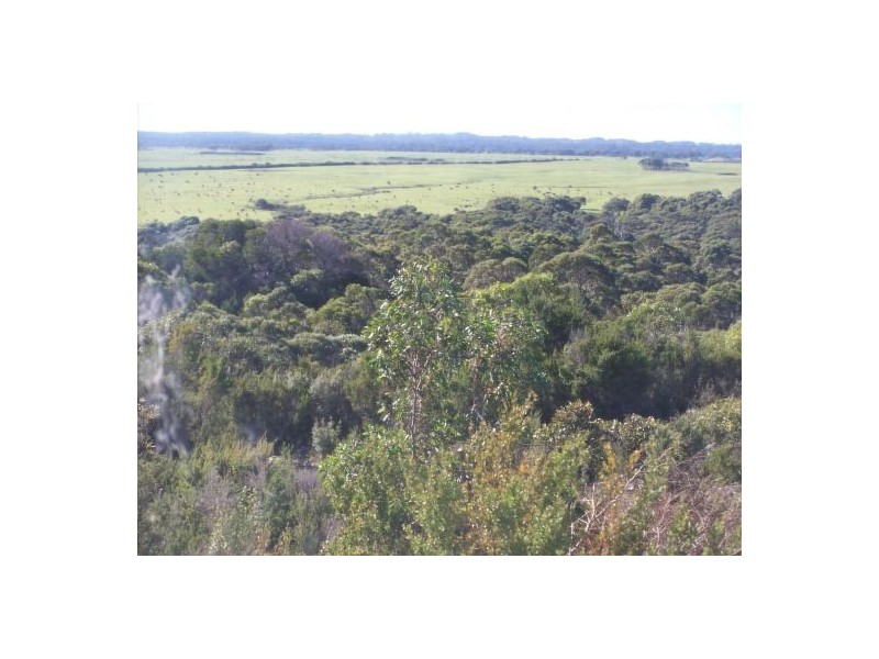 1239 Arthur River Rd, Arthur River TAS 7330