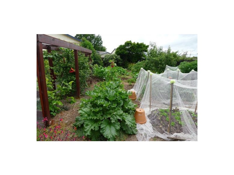 11 Moriarty Rd, Latrobe TAS 7307