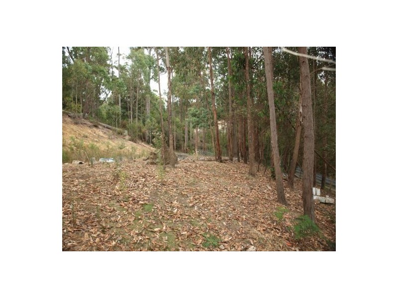 Acacia Hills TAS 7306