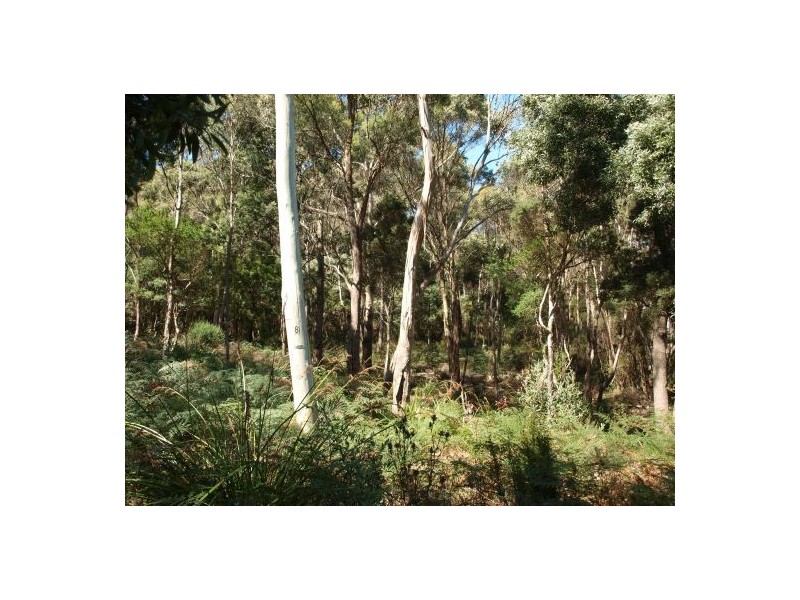 26 Twiss St, Latrobe TAS 7307