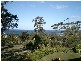 24 HARVEY’S FARM ROAD, Bicheno TAS 7215