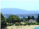George Town TAS 7253