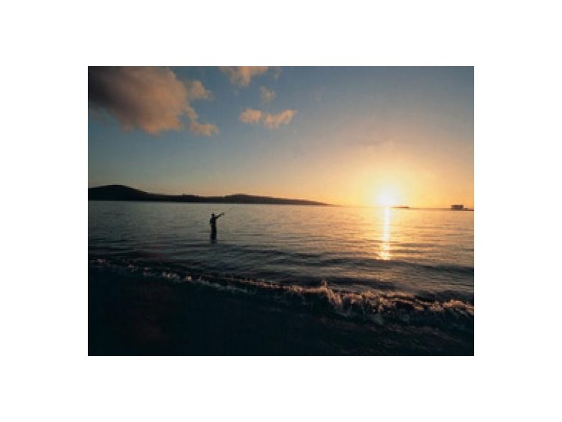 128 White Beach Road, Nubeena TAS 7184