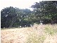 298 Mount Street, Burnie TAS 7320