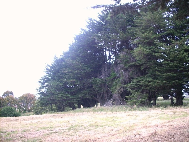 298 Mount Street, Burnie TAS 7320