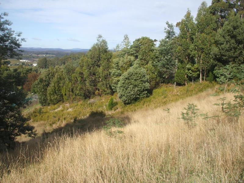 60 Laycocks Road, Spreyton TAS 7310