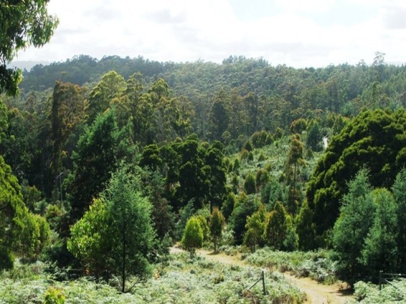 1094 Patersonia Road, Patersonia TAS 7259