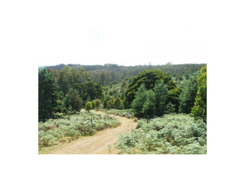 1094 Patersonia Road, Patersonia TAS 7259