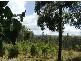 1094 Patersonia Road, Patersonia TAS 7259
