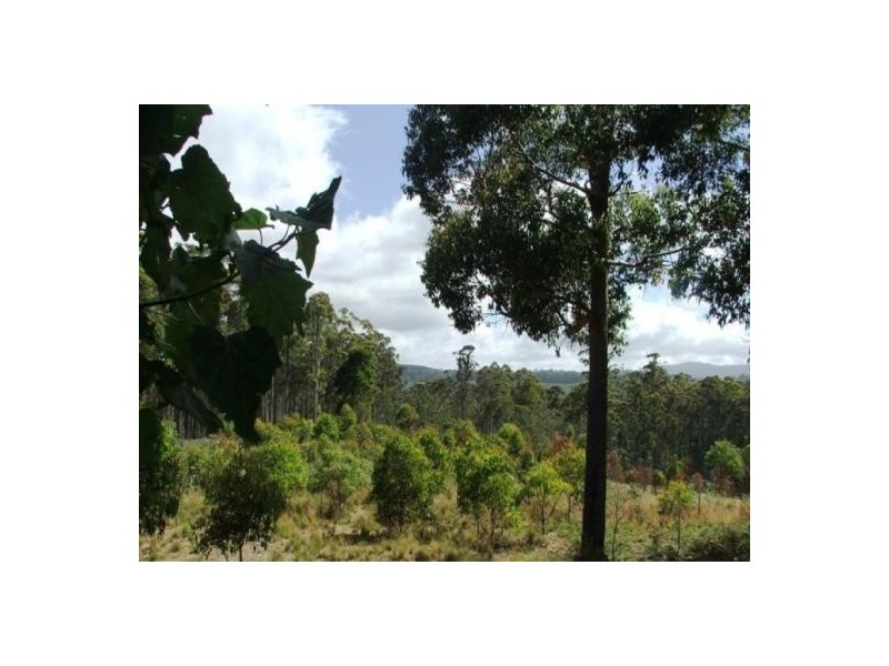 1094 Patersonia Road, Patersonia TAS 7259