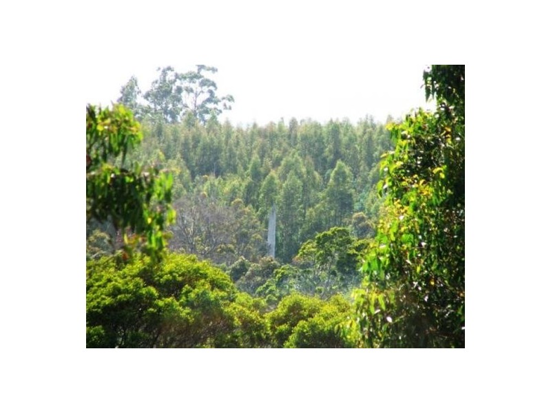 1094 Patersonia Road, Patersonia TAS 7259