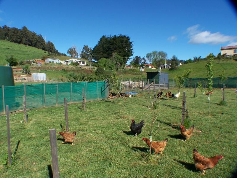 1 Lake Barrington Road, Wilmot TAS 7310