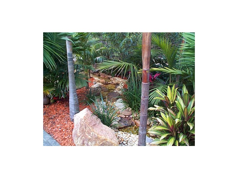 North Rocks NSW 2151