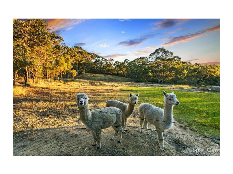 10 Binalong Road, Kenthurst NSW 2156