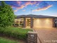 17 Jezebel St, The Ponds NSW 2769