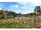 Pokolbin NSW 2320