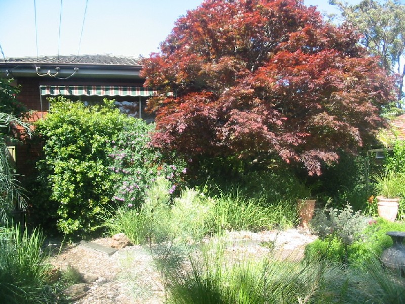 North Rocks NSW 2151