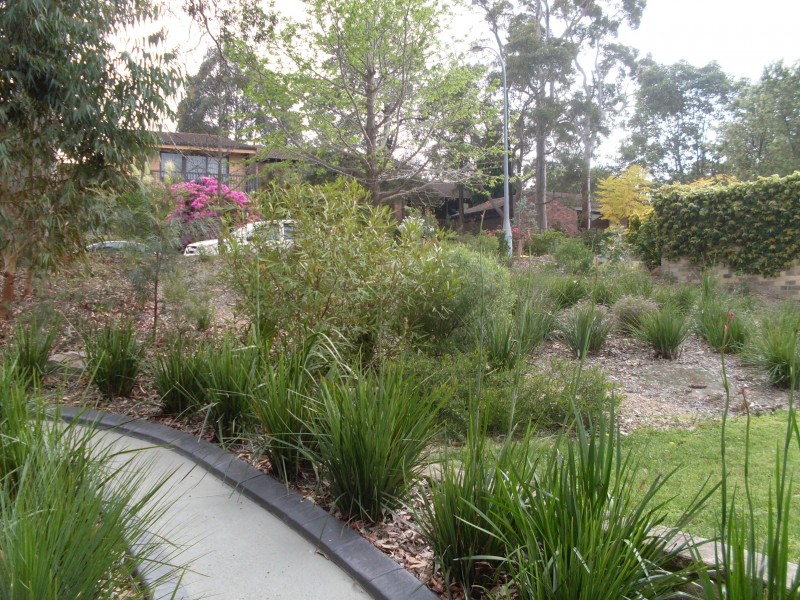 8 Hancey Avenue, North Rocks NSW 2151