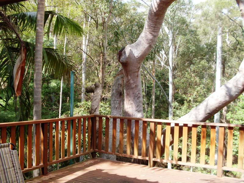 21 Northam Drive, North Rocks NSW 2151