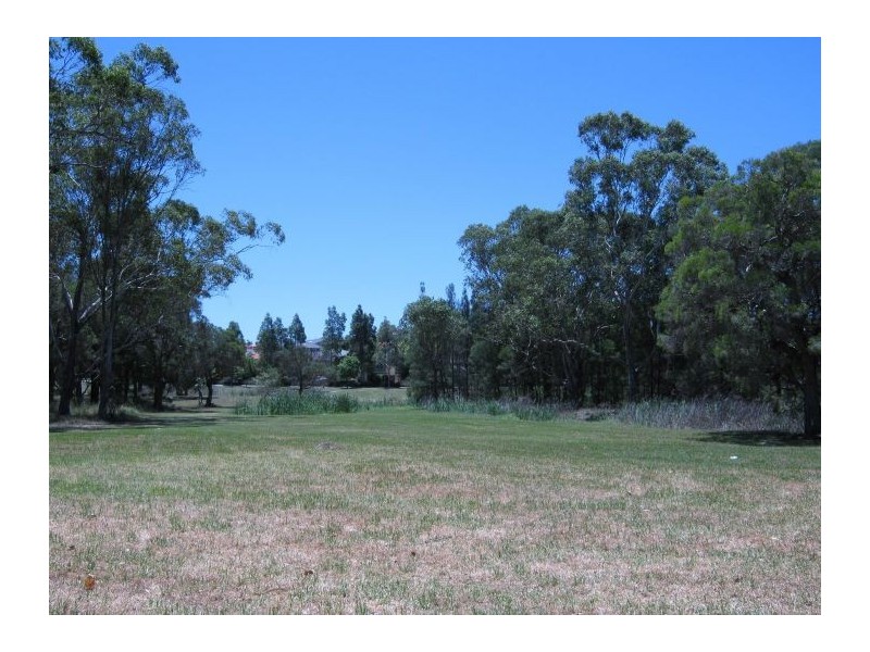 1207 Phoenix Avenue, Beaumont Hills NSW 2155