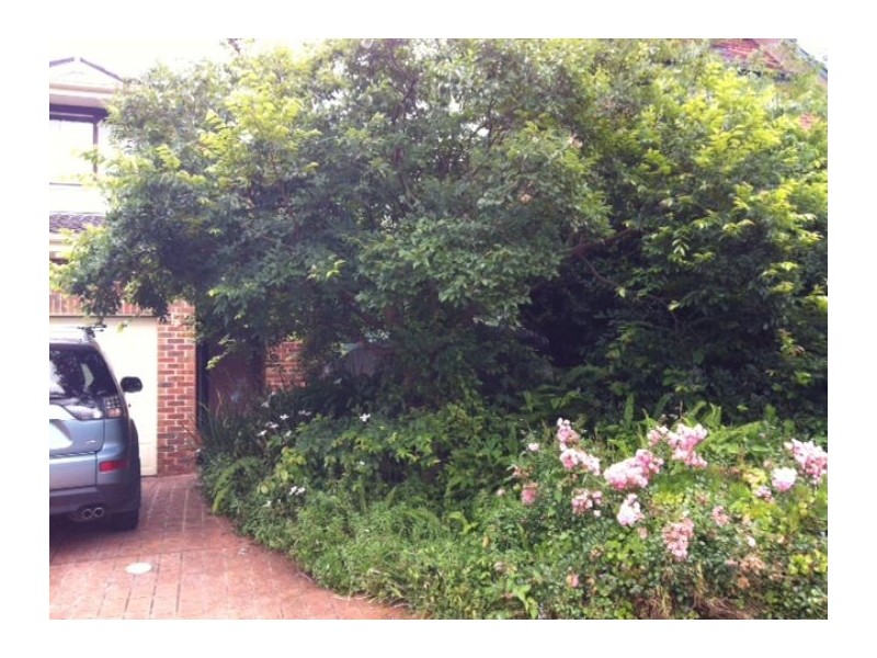 17A Highclere Pl, Castle Hill NSW 2154