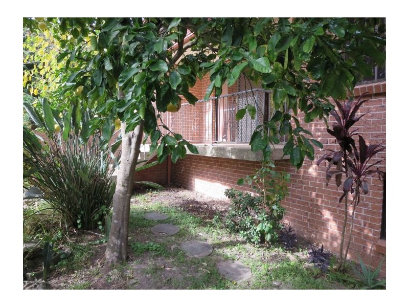 3/159 North Rocks Rd, North Rocks NSW 2151