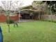 20 Kareela Rd, Baulkham Hills NSW 2153