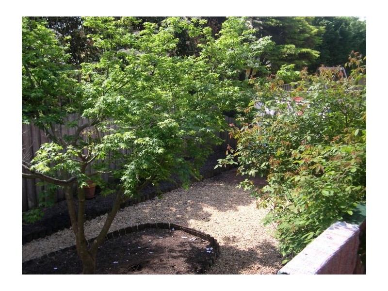 55a Purchase Rd, Cherrybrook NSW 2126