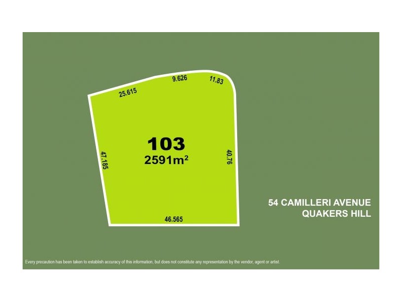 54 Camilleri Avenue, Quakers Hill NSW 2763