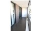 C 203 3 Hunter Street, Waterloo NSW 2017