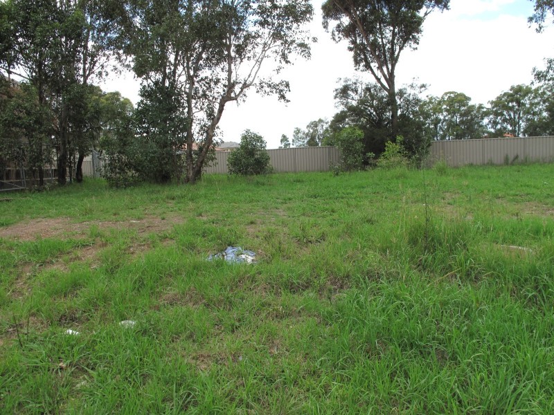 3 Wattlebird Place, Glenwood NSW 2768