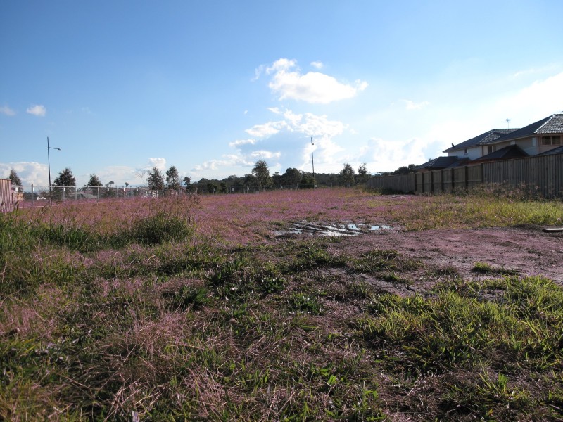 Lot 1043 Sunnybrae Street, Kellyville Ridge NSW 2155