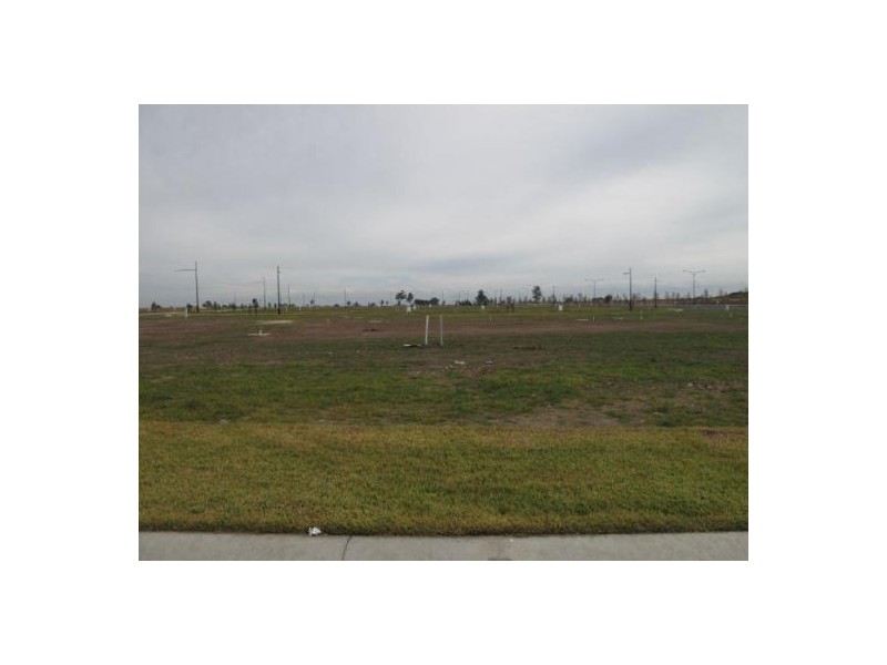 LOT 117 Musk Street, The Ponds NSW 2769