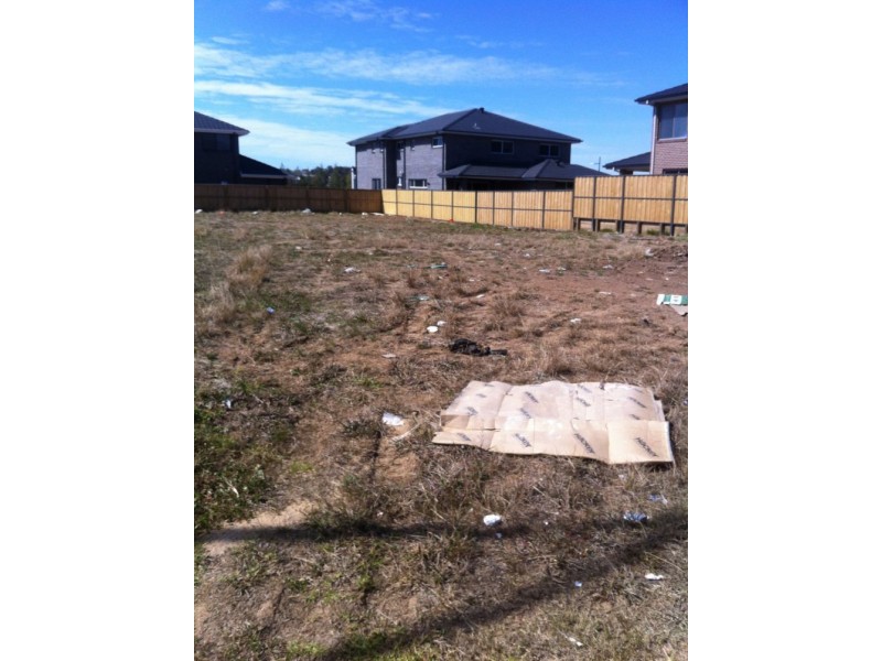 62 Copper Street, The Ponds NSW 2769