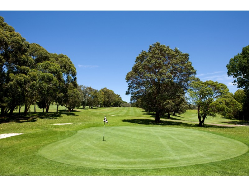 28/55 Carter Street, Cammeray NSW 2062