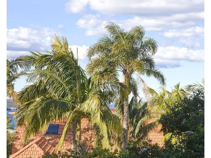 4/34 Stanton Road, Mosman NSW 2088