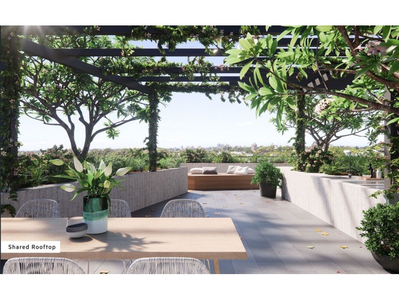 502/31-33 Albany Street, Crows Nest NSW 2065