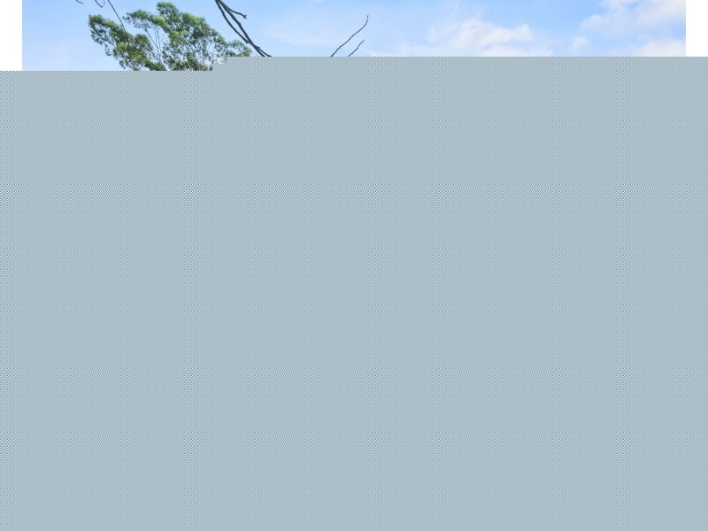 5/59 Lower Bent Street, Neutral Bay NSW 2089