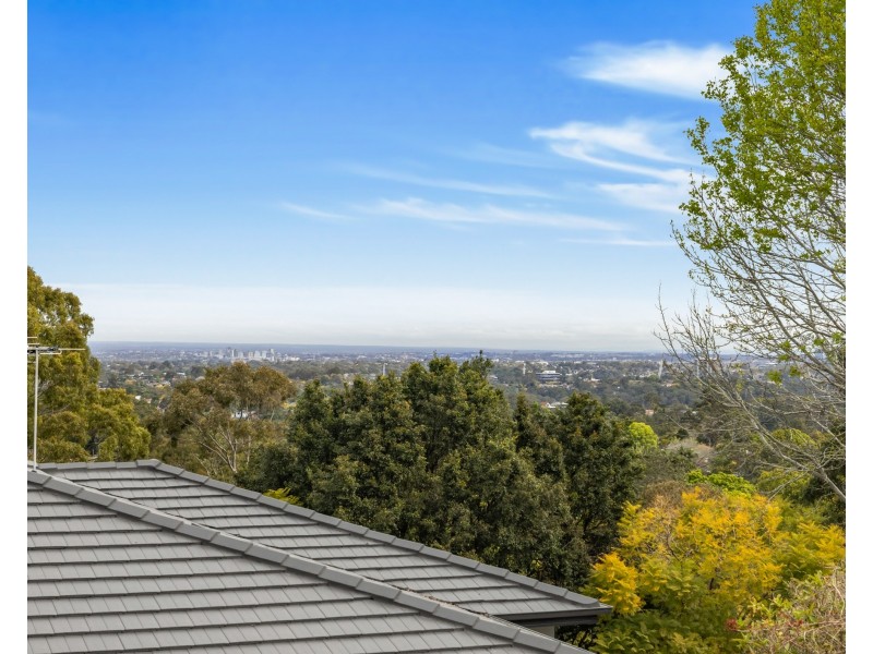 14/180 Pacific Highway, Roseville NSW 2069